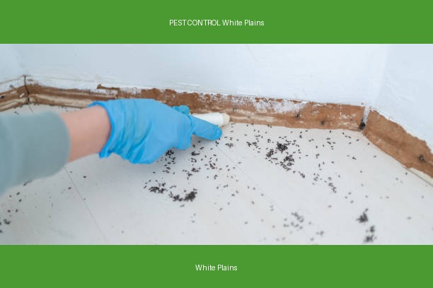 PEST CONTROL White Plains